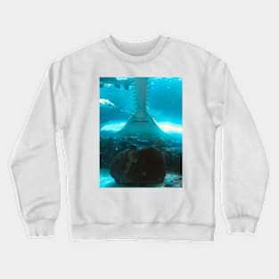 fish, ocean, marine life, ray, shark, stingray- sawfish Crewneck Sweatshirt